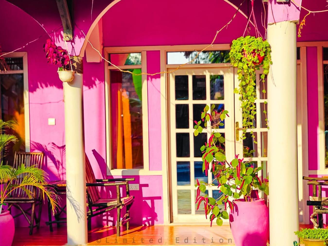 Nungwi Roses Villa Kültér fotó
