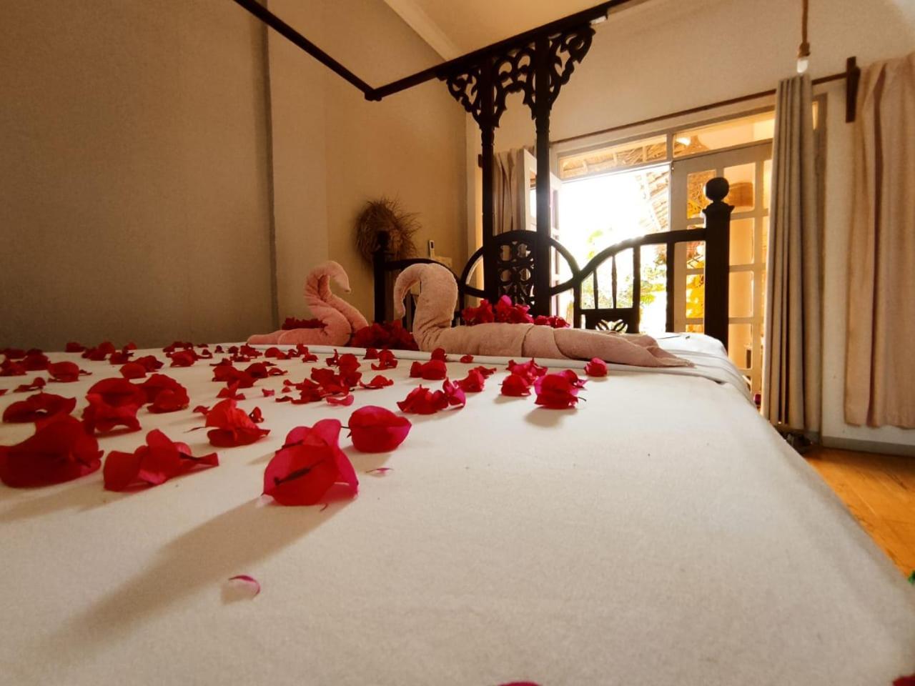 Nungwi Roses Villa Kültér fotó