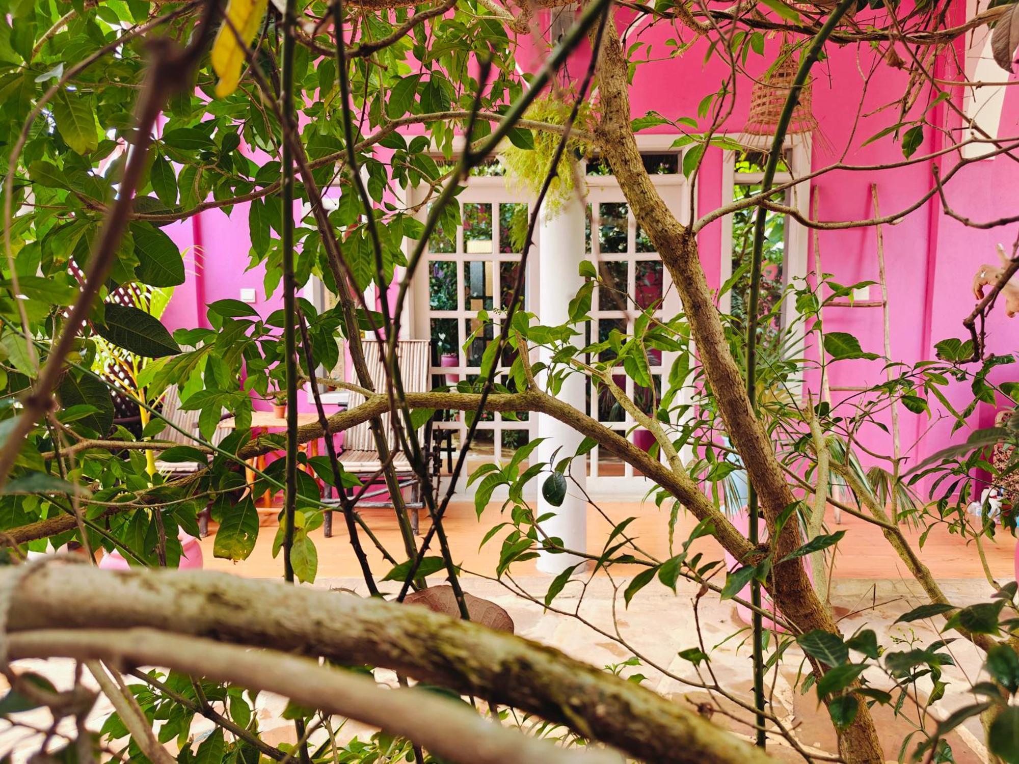 Nungwi Roses Villa Kültér fotó